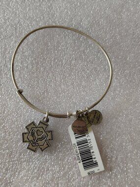 NWT Alex And Ani “Medical Professional” Nurse Charm Bangle Bracelet 570